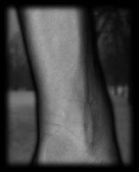 arm13