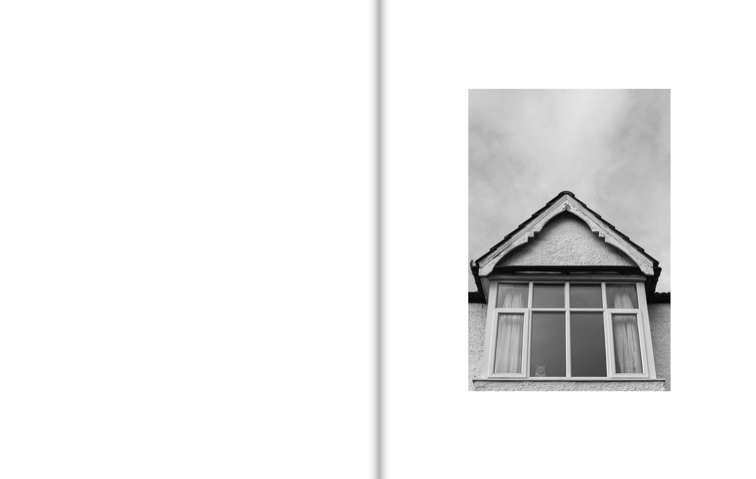 A cat looks down from the upper window of a suburban house.