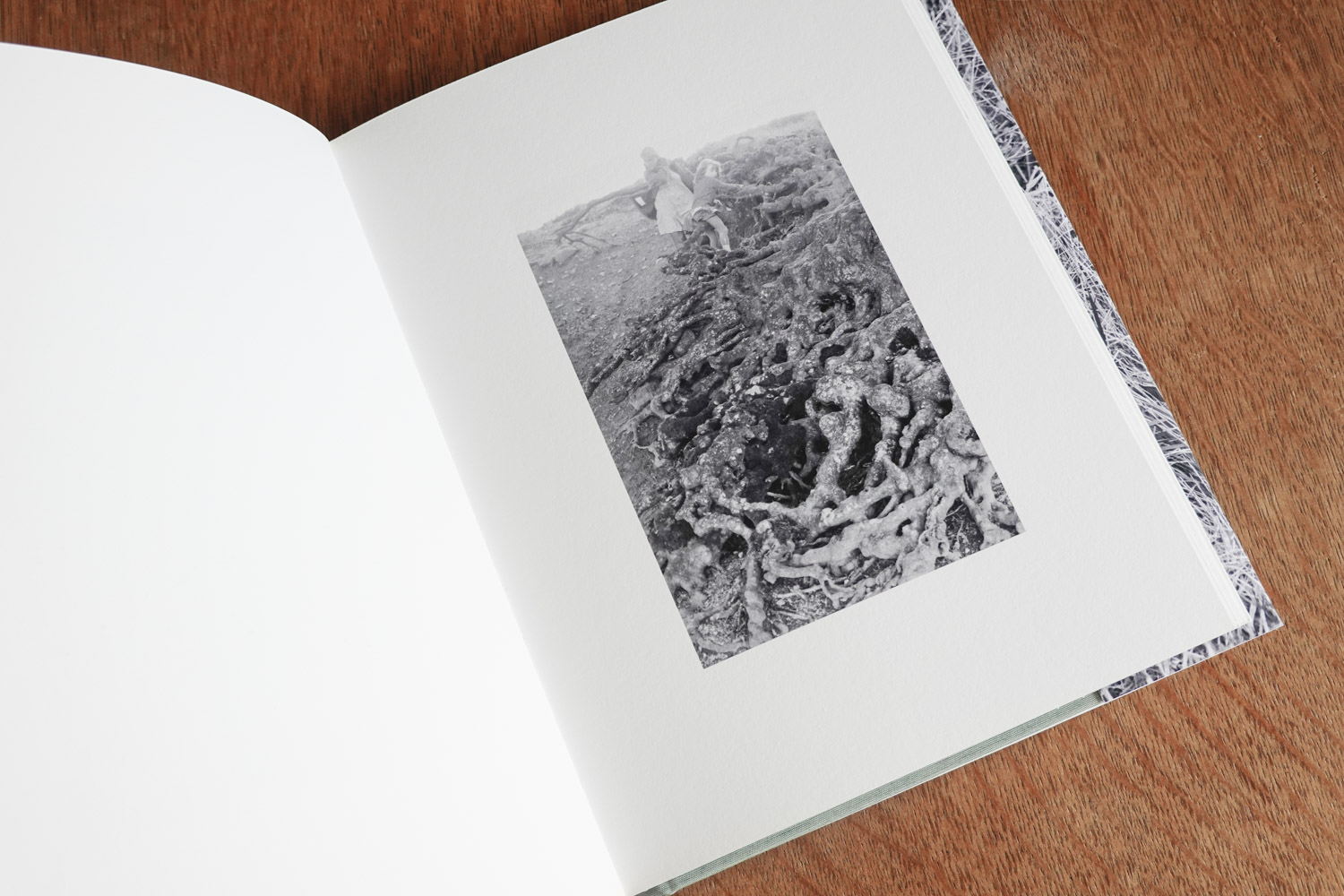 Photo of the book Oneiric open at a page showing a black and white photograph of a woman and child climbing down the roots of a tree.