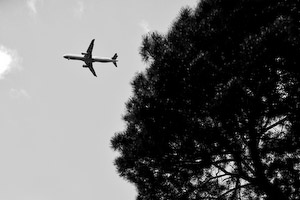 Under the flight path
