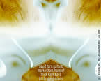 cd cover design