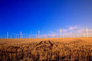 Pylons traverse a golden plain below a vivid blue sky speckled with pale clouds